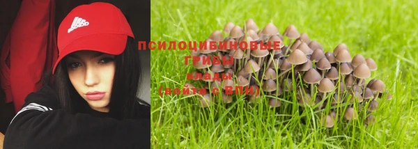 ешки Арсеньев